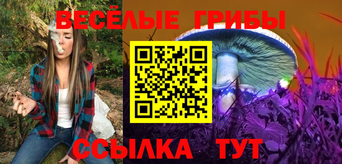 Галлюциногенные грибы GOLDEN TEACHER  дарнет шоп  Псилоцибиновые грибы Psilocybine cubensis  Новокубанск  Вход с VPN 